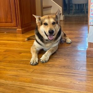 Meet your Posher, Rockael